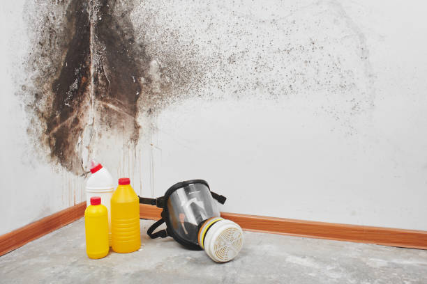Best HVAC Mold Remediation in Holiday Heights, NJ