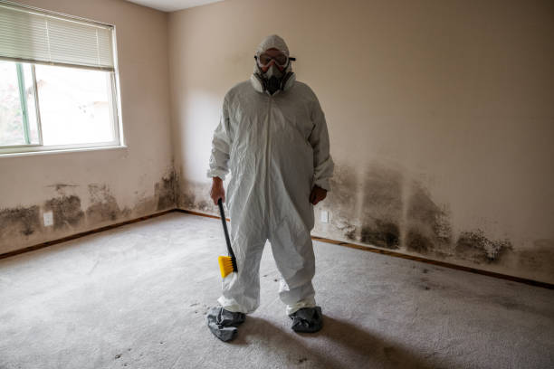 Best Industrial Mold Remediation in Holiday Heights, NJ